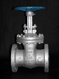 Cast Steel Check Valve