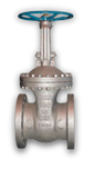 Cast Steel Bolted Bonnet Valves